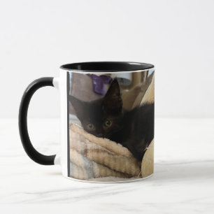 Tasse