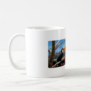 Tasse