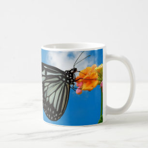 Tasse