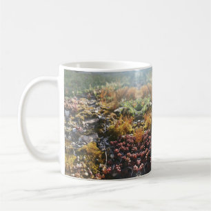 Tasse
