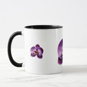 Tasse