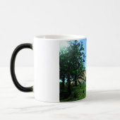 Tasse (Links)