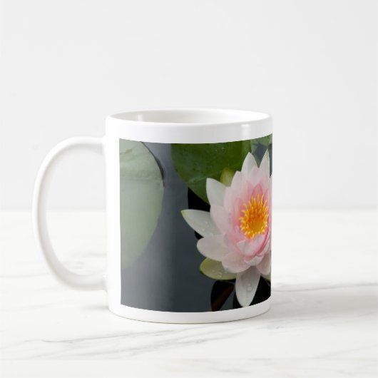 Tasse (Links)