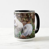 Tasse (VorderseiteRechts)