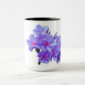 Tasse (Zentrum)
