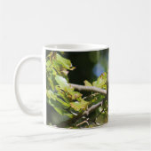 Tasse (Links)