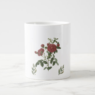TASSE