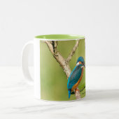 Tasse (Vorderseite Links)