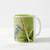 Tasse (VorderseiteRechts)
