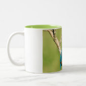 Tasse (Links)