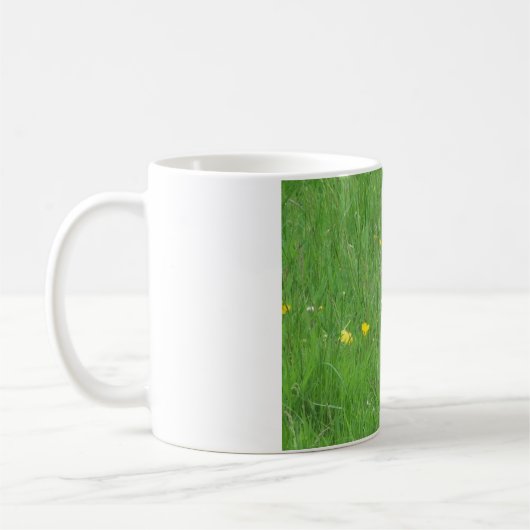 Tasse (Links)