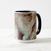 Tasse (VorderseiteRechts)