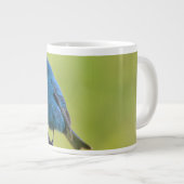 Tasse (Vorderseite Rechts)