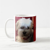 Tasse (Links)