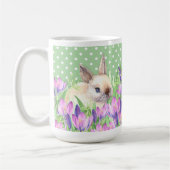 Tasse (Links)