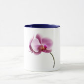 Tasse (Zentrum)