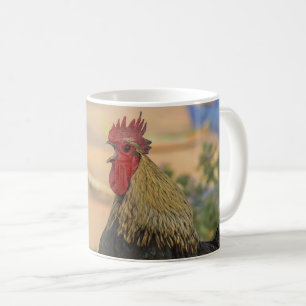 Tasse