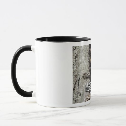  Tasse (Links)