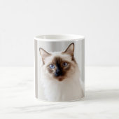 Tasse (Mittel)
