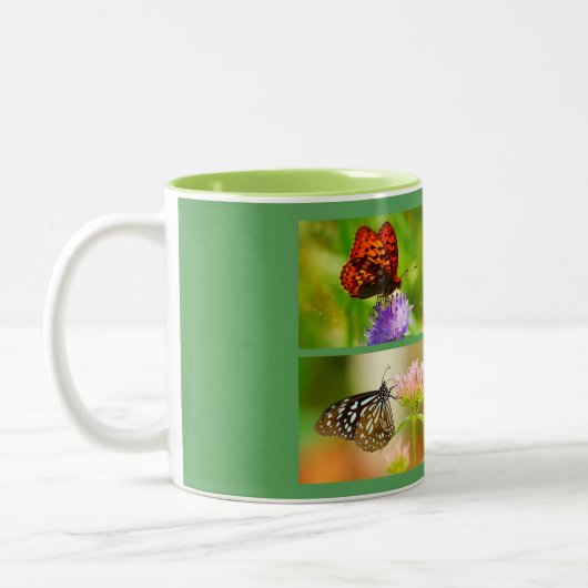 Tasse (Links)
