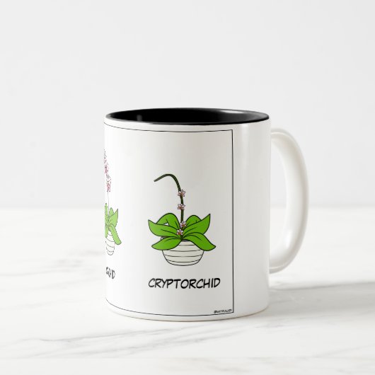 Tasse (VorderseiteRechts)