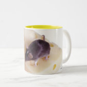 Tasse (VorderseiteRechts)