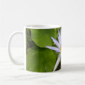Tasse (Links)