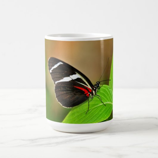 Tasse (Mittel)