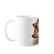 Tasse