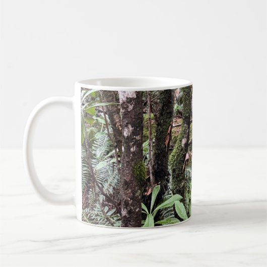 TASSE 1 (Links)