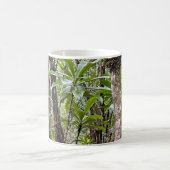 TASSE 2 (Mittel)
