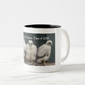Tasse 2013 Du Bois Falcons (VorderseiteRechts)