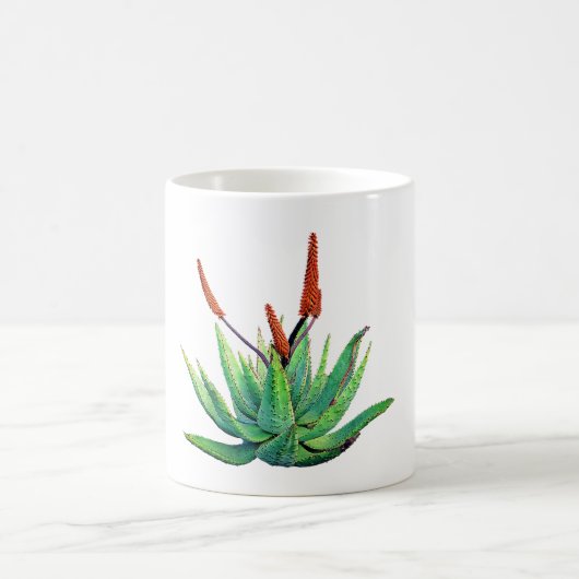 Tasse Aloe Vera, botanisch (Mittel)