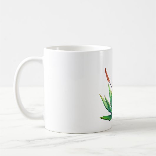 Tasse Aloe Vera, botanisch (Links)