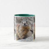 Tasse Alpenmarmot (Zentrum)