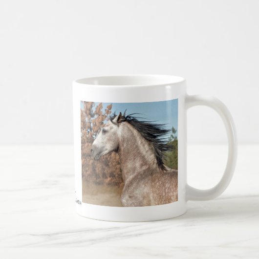 Tasse Andalusien (Rechts)