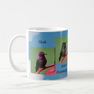 Tasse Ann'a Hummingbird