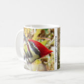 Tasse aus gepiletem Woodpecker-Kaffee (Vorderseite Links)