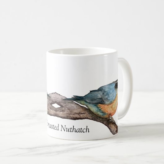 Tasse aus Rot-Brest-Nuthatch-Weißer Kaffee (VorderseiteRechts)