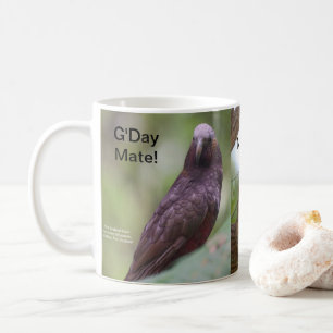 Tasse, australische Tasse zum Thema Kaffee