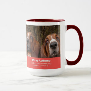 Tasse Basset Hounds bei Zuhause Bleibe