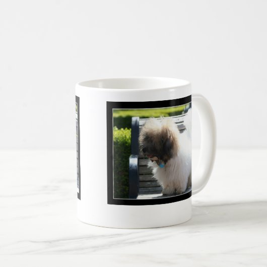 Tasse Baumwollde Tulear Puppy (VorderseiteRechts)