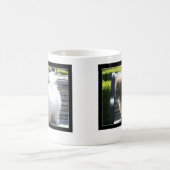 Tasse Baumwollde Tulear Puppy (Mittel)