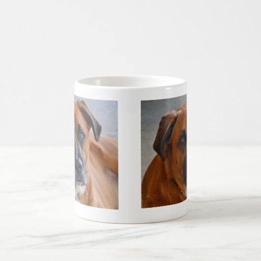 Tasse - Baxter (Mittel)