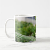 Tasse beobachten (Links)