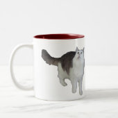 Tasse - betroffene Katze (Links)