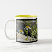 Tasse bis zu Wildblumen Geweckt (Links)