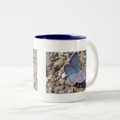 Tasse blauer Schmetterling (VorderseiteRechts)