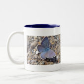 Tasse blauer Schmetterling (Links)