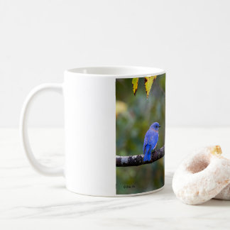 Tasse - BlueBird